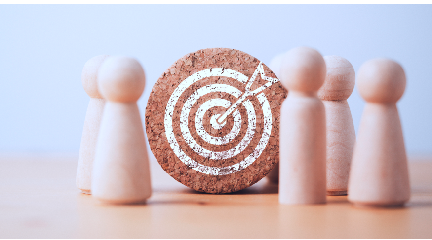 defining the goals and target audience